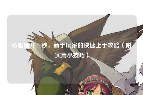 私服刚开一秒,新手玩家的快速上手攻略(附实用小技巧)